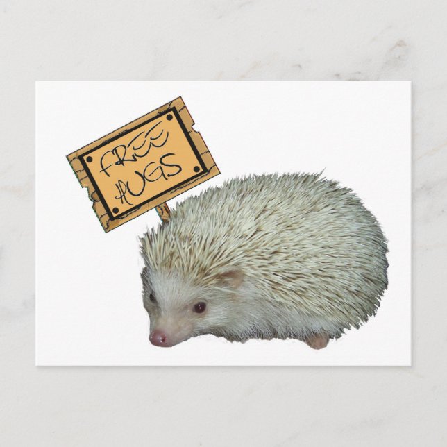 Cartão Postal Free Hugs Hedgehog (Frente)