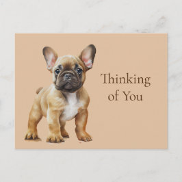 Cartão Postal Frenchie pensando em você