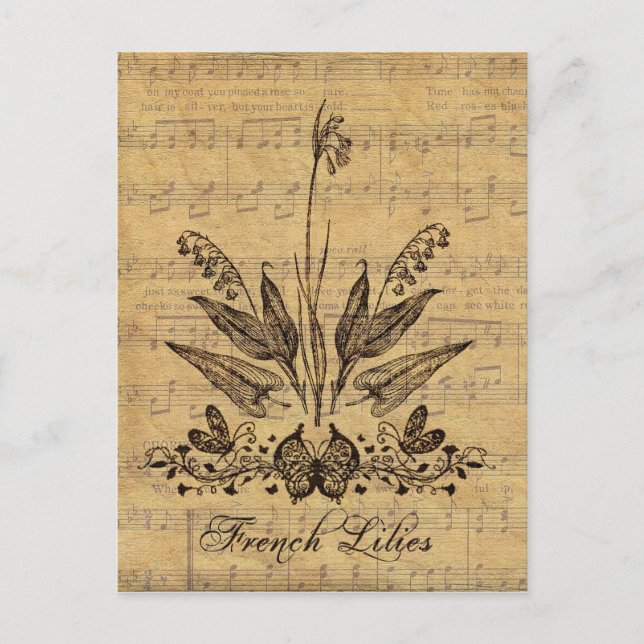 Cartão Postal Frente Botânica Antiga (Frente)