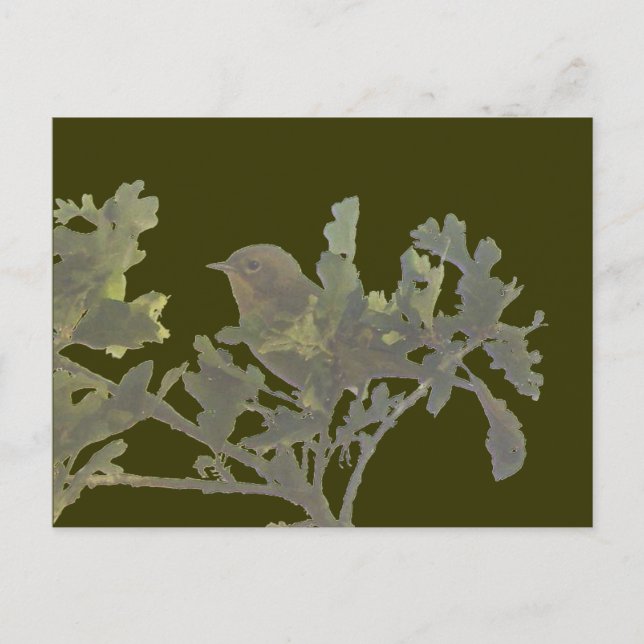 Cartão postal Frequente (Frente)