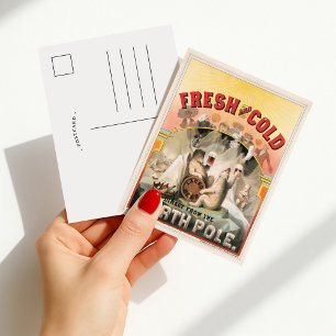 Cartão Postal Fresco e Gelado – Cerveja Direta do Polo Norte