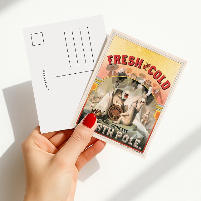 Cartão Postal Fresco e Gelado – Cerveja Direta do Polo Norte (Criador carregado)