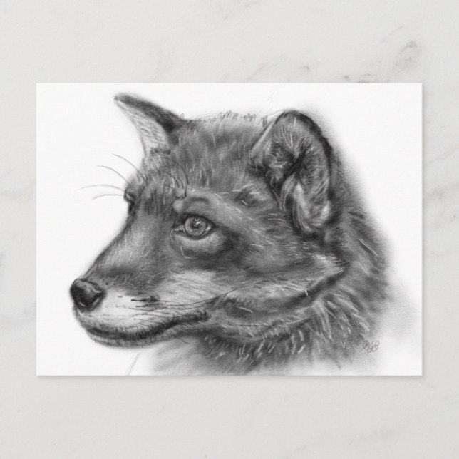 Cartão Postal Frida, The Wee Scottish Fox! (Frente)