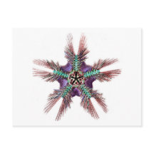 Frigorífico com armas de penas