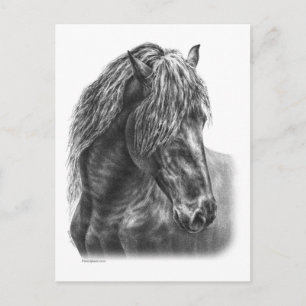 Cartão Postal Frísia Horse Retrait Wavy Mane