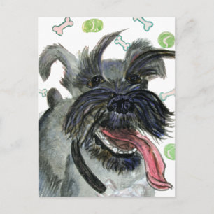 CARTÃO POSTAL FRITZ