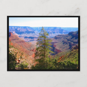 Cartão Postal fronteira da árvore do Grand Canyon