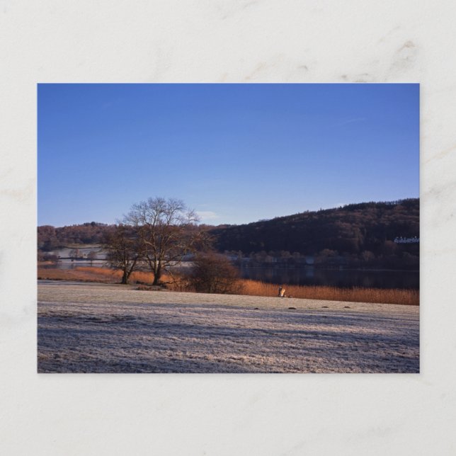 Cartão Postal Frosty matle Esthwaite Water Cumbria Inglaterra (Frente)