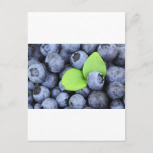 Cartão Postal Fruta Azul Berries, Paz, Paz, Arte do Destino