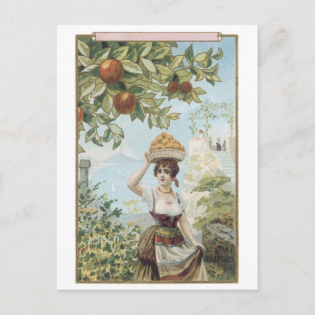 Cartão Postal Fruta Carregando (Frente)