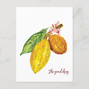 Cartão Postal Fruta da árvore de chocolate aquarela