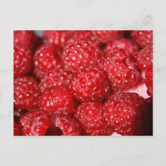 Cartão Postal fruta de framboesa comida (Frente)