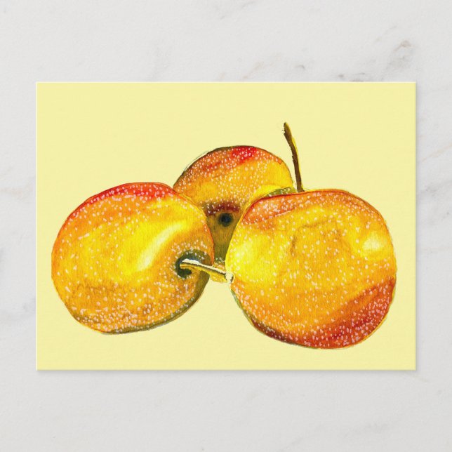 Cartão Postal Fruta de pera amarelo fruta de água (Frente)