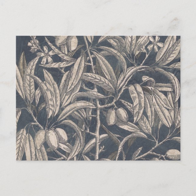 Cartão Postal Fruta e Floral I (Frente)