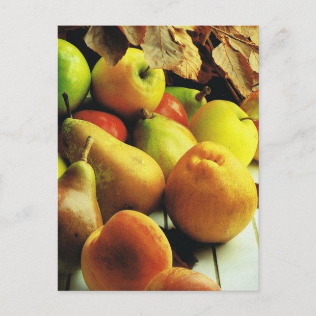 Cartão Postal Fruta e vegetais, maçãs e peras (Frente)