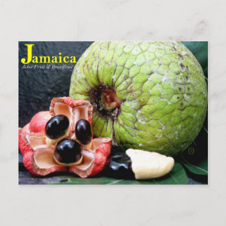 Cartão Postal Fruta jamaicana Breadut e Ackee 2k17