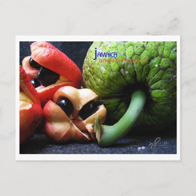 Cartão Postal Fruta jamaicana do acque e frutos do mar (Frente)