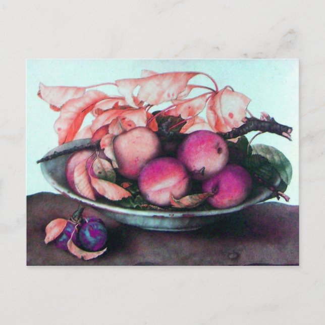 CARTÃO POSTAL FRUTAS DA SEASON 2 (Frente)