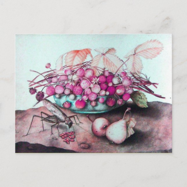 CARTÃO POSTAL FRUTAS DA SEASON 3 (Frente)