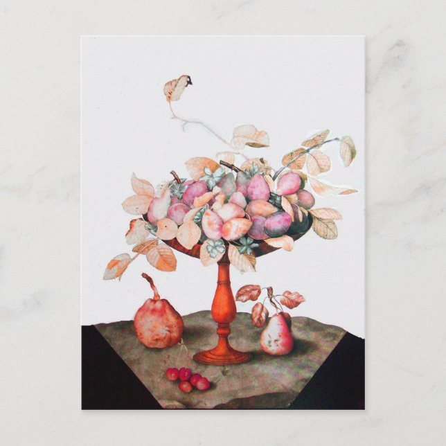 CARTÃO POSTAL FRUTAS DA SEASON 5 (Frente)