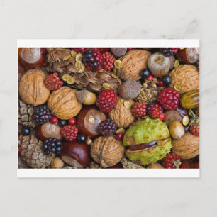 Cartão Postal Frutas de outono