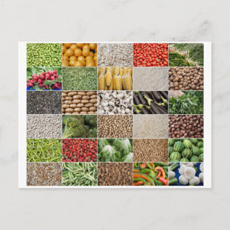 Cartão Postal Frutas e produtos hortícolas
