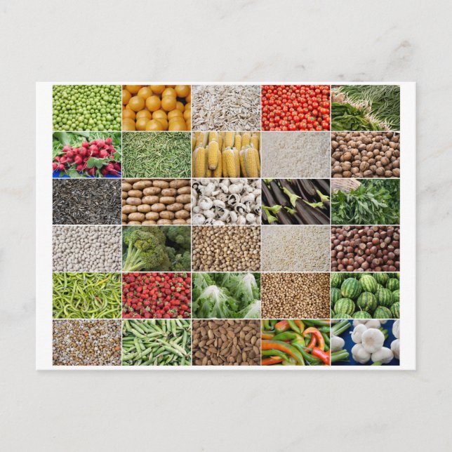 Cartão Postal Frutas e produtos hortícolas (Frente)