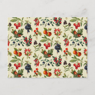 Cartão Postal Frutas Selvagens Do Campo