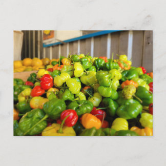 Cartão Postal Fruteira Aji Dulce