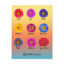 Fruticultura da bebida espirituosa com Zinnias