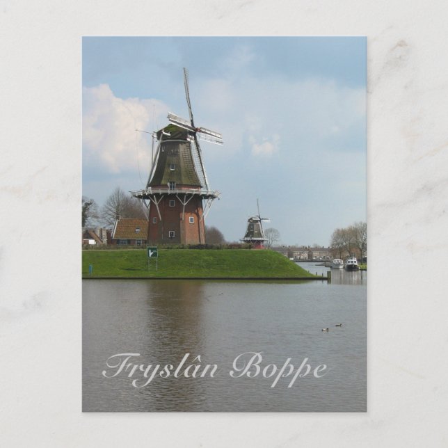 Cartão Postal Fryslân Boppe Dokkum Cartão-postal Kaart (Frente)