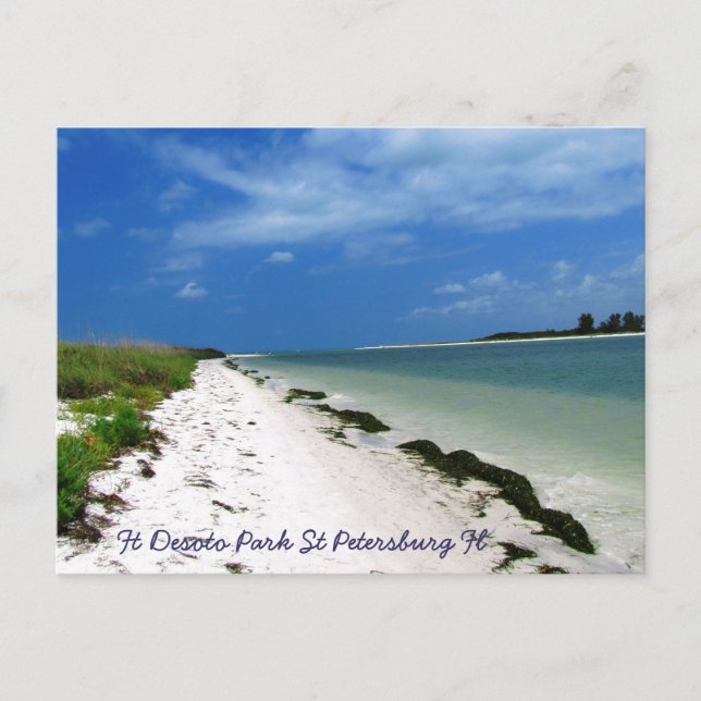 Cartão Postal Ft Desoto Rua Petersburgo Fl (Frente)