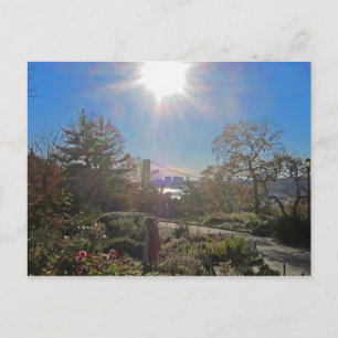 Cartão Postal Ft. Tryon Park Sun