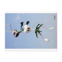 Fubby krachten, Hang in There, I got you