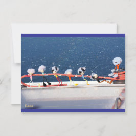 Cartão Postal Fubby's die een lijn lieren van een Zeilboot.