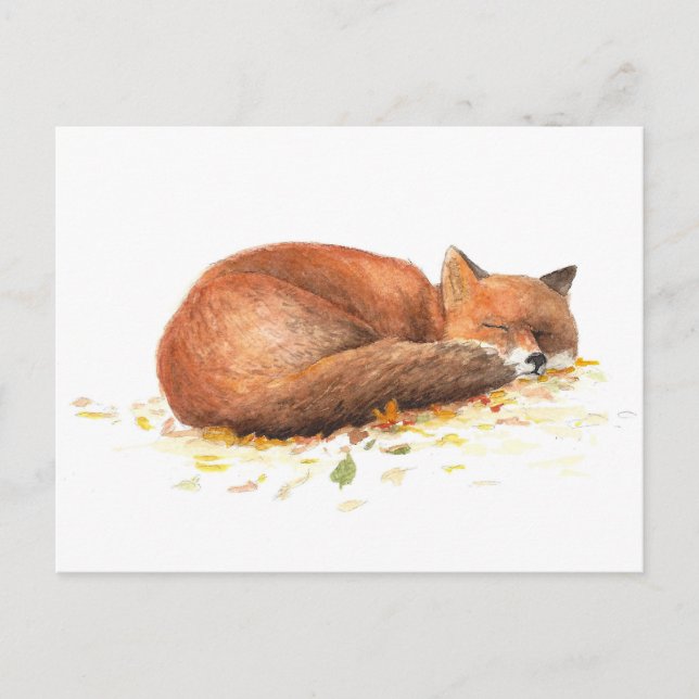 Cartão Postal Fuchs (Frente)