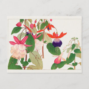 Cartão Postal Fuchsia por Tanigami Konan