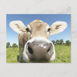 Cartão Postal Fuessen, Baviera, Alemanha