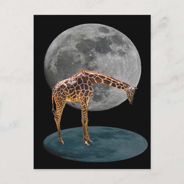 CARTÃO POSTAL FULL MOON GIRAFFE (Frente)