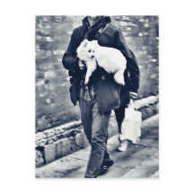 fullsizeoutput_c78 Pomeraniano preto e branco