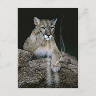 Cartão Postal Fumante