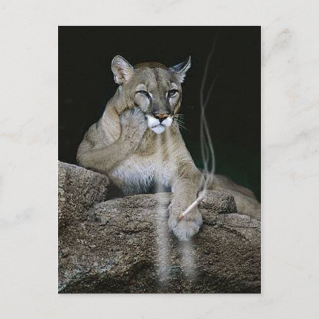 Cartão Postal Fumante (Frente)