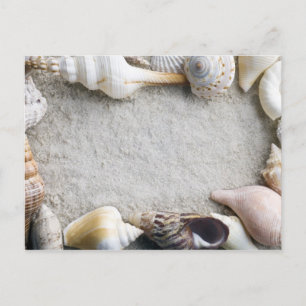 Cartão Postal Fundo da areia do Sea Shell - Prateleiras Personal