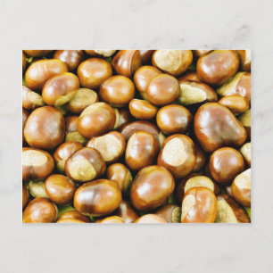 Cartão Postal Fundo de Conkers