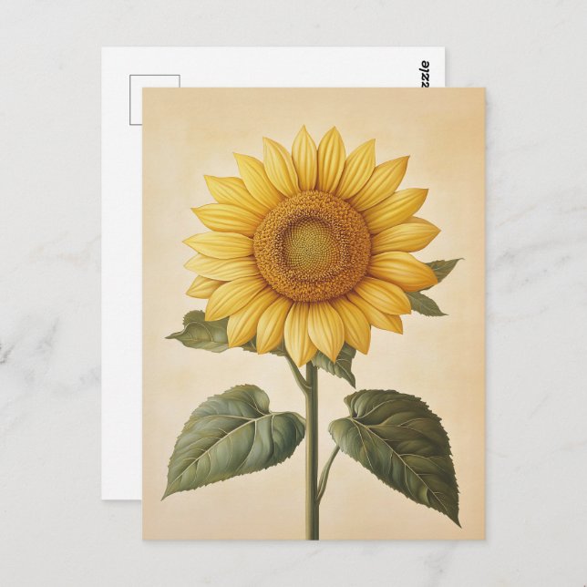 Cartão Postal Fundo de Cor da Água Amarelo Sunflower (Frente/Verso)