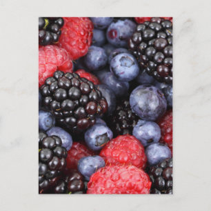 Cartão Postal Fundo de Frutas da Floresta