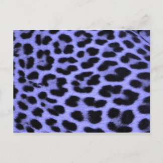 Cartão Postal Fundo de impressão azul-leopardo