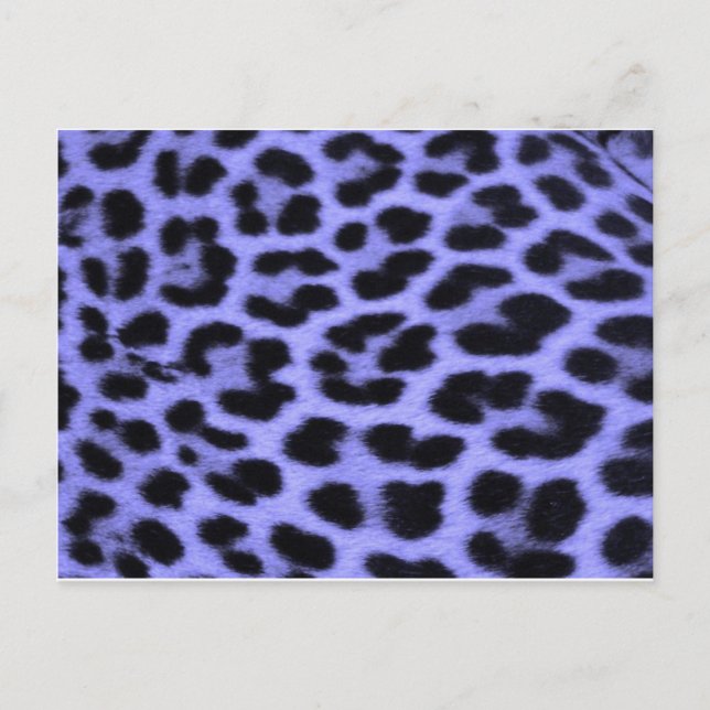 Cartão Postal Fundo de impressão azul-leopardo (Frente)