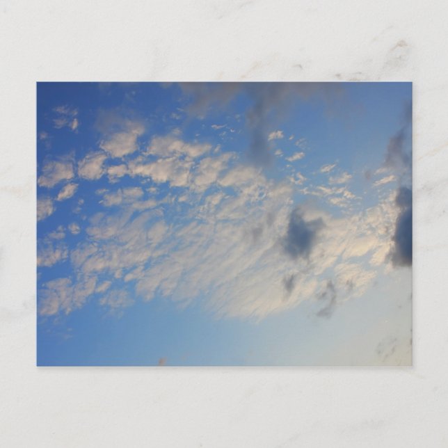 Cartão Postal Fundo do céu azul. (Frente)