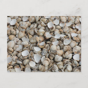 Cartão Postal Fundo dos reservatórios